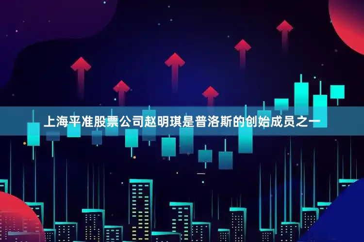 上海平准股票公司赵明琪是普洛斯的创始成员之一