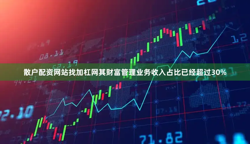 散户配资网站找加杠网其财富管理业务收入占比已经超过30%
