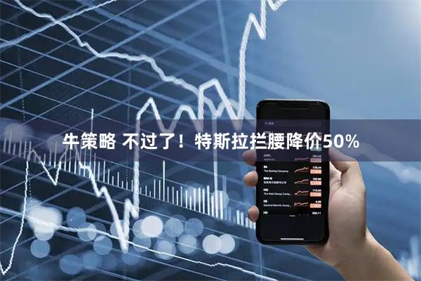 牛策略 不过了！特斯拉拦腰降价50%